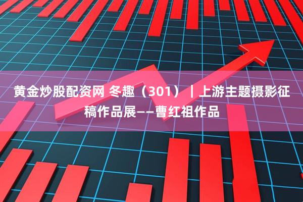 黄金炒股配资网 冬趣（301）｜上游主题摄影征稿作品展——曹红祖作品