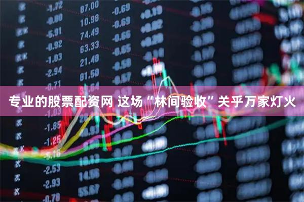 专业的股票配资网 这场“林间验收”关乎万家灯火