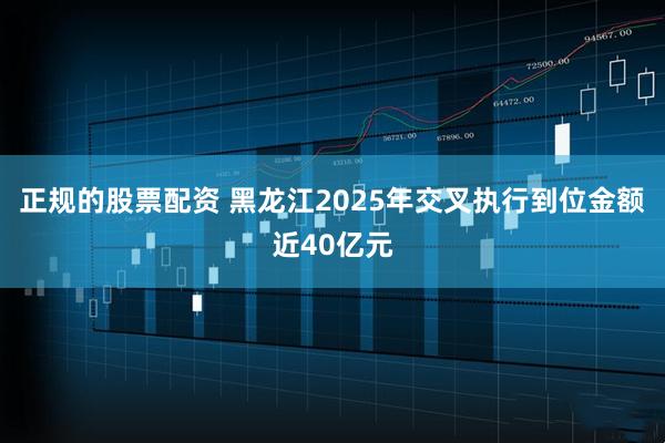 正规的股票配资 黑龙江2025年交叉执行到位金额近40亿元