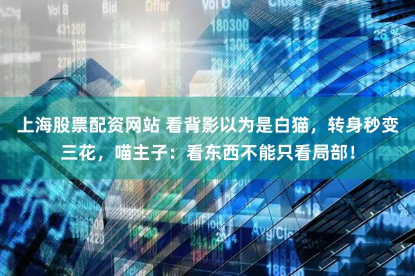 上海股票配资网站 看背影以为是白猫，转身秒变三花，喵主子：看东西不能只看局部！